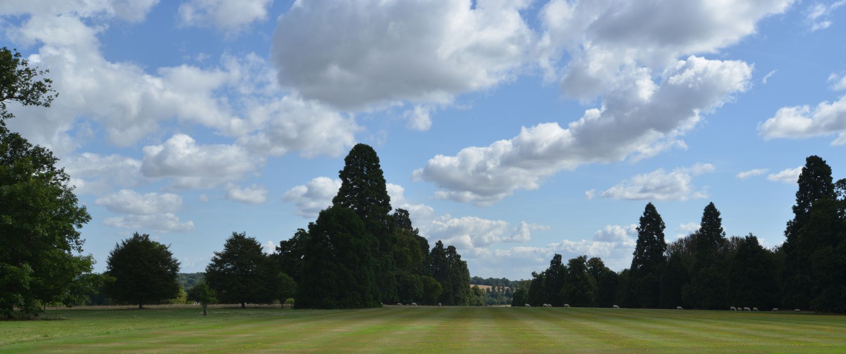The front lawn at Gorhambury Estate, St Albans